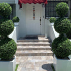 Dreifachkugel-Topiary mit mittelgroßem Fiberglas-Topf