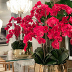 Rote Phalaenopsis-Orchideen in einem mittelgroßen Goldtopf