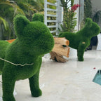 Französische Bulldogge – Tierförmige Topiary (künstlich)