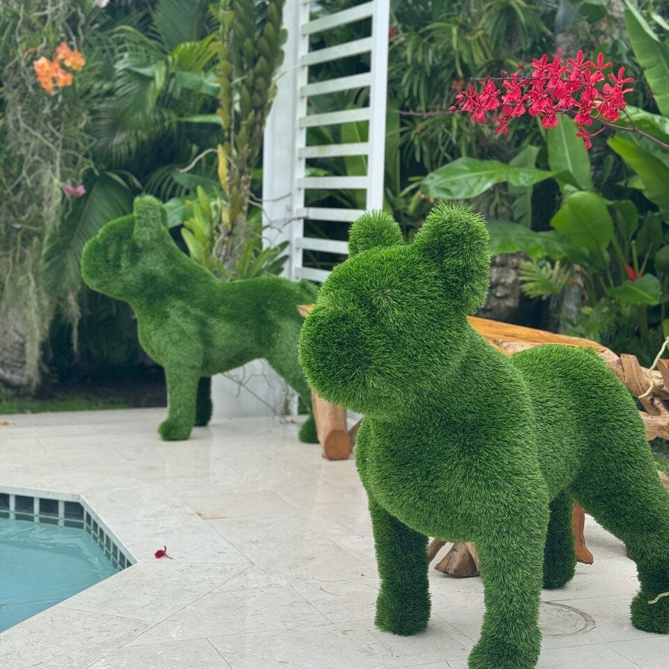Französische Bulldogge – Tierförmige Topiary (künstlich)