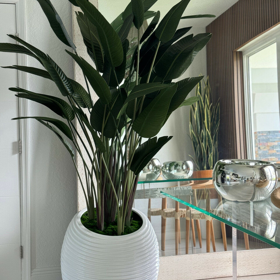 Paradiesvogelblume in weißer Spiralvase