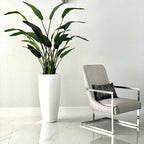 2,1 m Paradiesvogelblume mit Dax L Topf