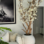 Weißer Magnolienbaum im 126 cm großen, glänzend weißen Kugeltopf